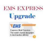 EMS Express Post Delivers