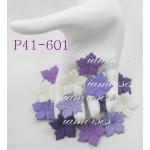 P41 - 601     500 Mixed Purple White Medium Poinsettia