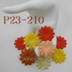 ZQP23 - 210     100 Mixed Cotta Orange Yellow Medium Daisy Flowers 