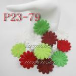 ZQP23 - 79     100 Christmas Mixed Medium Daisy Flowers 