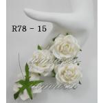 R78 - 15     10 White Mluberry Roses 