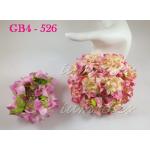 Big Pink Cream Variegated Gardenias Thailand Iamroses 