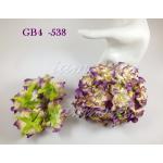 Big Purple Cream Variegated Gardenias Thailand Iamroses