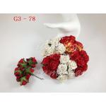 Mixed Red - White Curly Roses