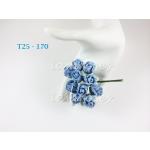 	T 25 - 170     10 Baby Blue Puffy Semi Rose Buds