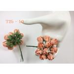 T25 - 50     10 Peach Puffy Semi Rose Buds