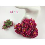 G1 - 4 (25 Pcs)     25 Hot Pink Small Curly Paper Flowers