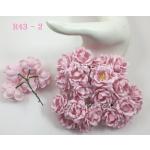 Pale Pink Color Paper Roses Iamroses Thailand