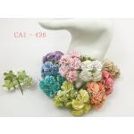 Mixed All Pastel Rainbow Color Carnation Flowers