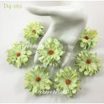 15 Soft Green Curly Full Bloomed Daisy Paper Flowers