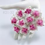  Medium 1.5" White - Pink Center Roses