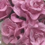  25 Pink Curly Paper Flowers