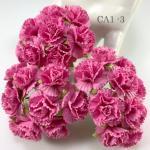 Solid Pink Carnation Flowers