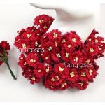 50 Small 1" Fussy Daisy Solid Red Flowers (A)