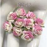  100 Mini 1/4" or 1cm HALF White - Pink Open Roses