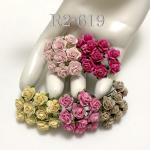 Mini 1/4" or 1cm Mixed 5 Open Roses NEW (2/3/4/147/148)