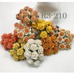 100 Size 3/4" or 2cm Mixed Fall Tone Open Roses