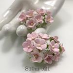 100 Size 5/8" or 1.5 cm - Small Achillea Cottage - White - Soft Pink Center