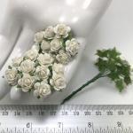 White Paper Open Roses