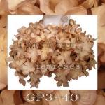 100 Brown Gardenia Curly Petals 2"/ 5 cm ZGP3- 40