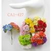 CA1 - 427     50 Mixed All Color Carnation Flowers