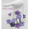 P41 - 601     500 Mixed Purple White Medium Poinsettia