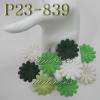 ZQP23 - 839     100 Mixed All Green Medium Daisy Flowers 