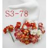 50 Mixed Red White Color Cherry Blossoms