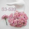 50 Pink variegated Cherry Blossoms