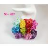 50 Mixed Rainbow Color Cherry Blossoms