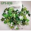 250 Mixed Green White Gardenia Curly Petals 2"/ 5 cm