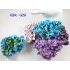 GB4 - 626     25 Mixed Purple & Turquoise Big Gardenia - 626