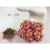G1 - 526 (25 Pcs)     25 Pink& Cream Variegated Small Curly Paper Flowers
