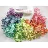 Pastel Rainbow Mixed Gardenia Curly Patal Paper Craft