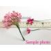 Mulberry Paper flowers Craft Wholesale