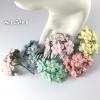 25 Mixed 5 Sweet Color Cream / Aqua / Soft Pink / Baby blue / Creamy Pink