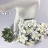 25 White Color Paper Flowers