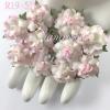 50 Small 1" White - Soft Pink EDGE Variegated 