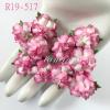 50 Small 1"White - Pink EDGE Variegated 