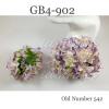 Big Purple Cream Variegated Gardenias