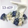 50 Mixed  Navy - Blue Color Cherry Blossoms