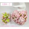 25 Big Soft Pink Gardenias