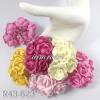 25 Mixed Pink & Yellow Color Paper Roses