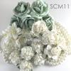 20 Special DIY Mixed 4 Sizes - Dusty Green and White