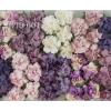 50 Small 1" Mixed Purple May Roses