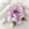 25 Large  2" or 5 cm - White - SOFT Purple Edge Variegated Paper Tea Roses