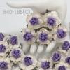 25 Large  2" or 5 cm - White - Purple Center Paper Tea Roses