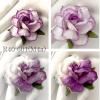 Mixed 4 Purple 2 Tone Paper Roses Flowers