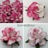  Mixed 4 Pink 2 Tone Paper Roses M4a