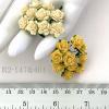 100 Mini Mini 1/4" or 1cm Mixed Cream -  Yellow Open Roses